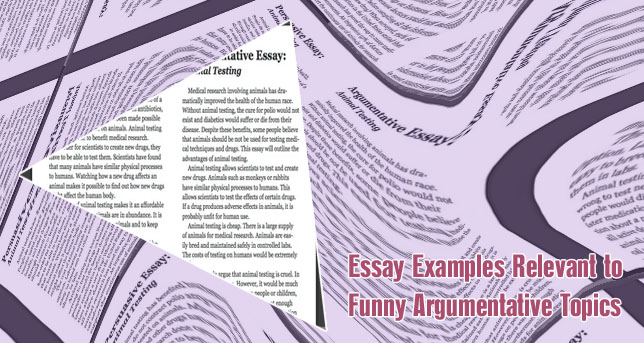 Argumentative writing essay examples