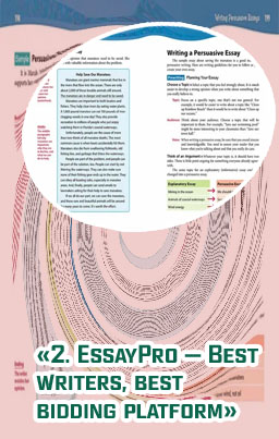 Best essay writing sites