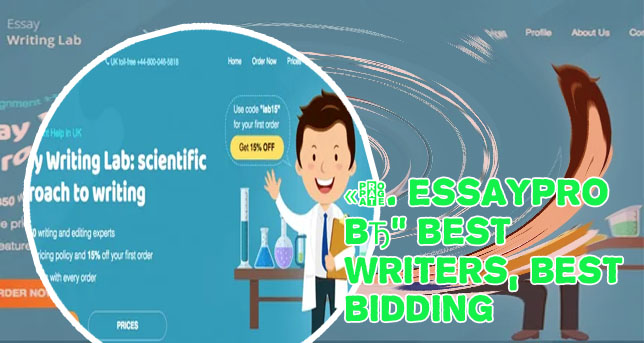 Best writing essay website