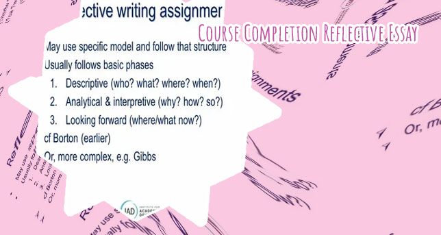 Class reflection essay