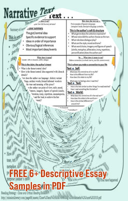 Descriptive narrative examples