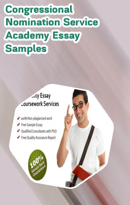 Essay about service