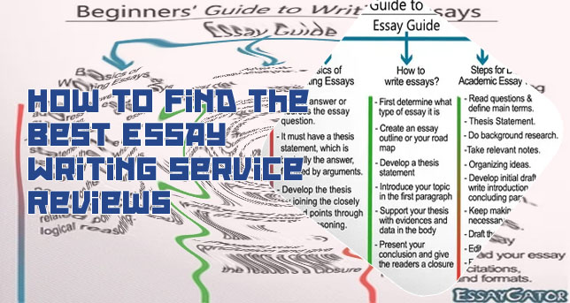Essay help websites