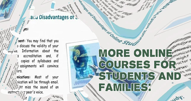 Essay online