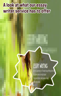 Essay writer service free
