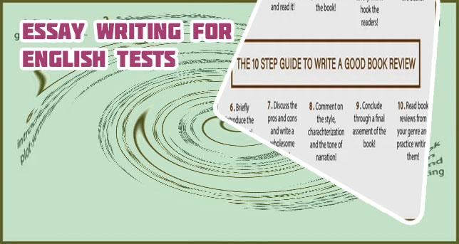 Essay writing book