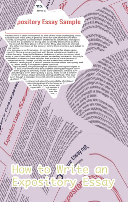 Expository essay