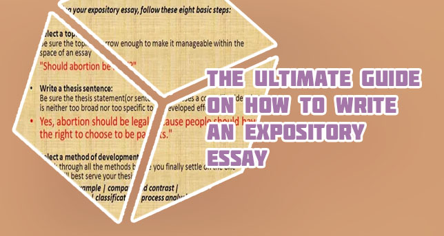 Expository essay introduction