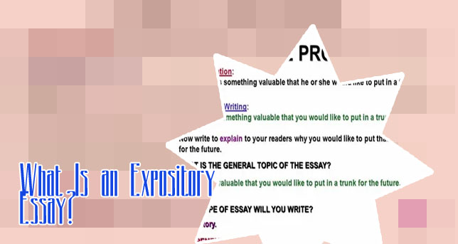 Expository essay meaning