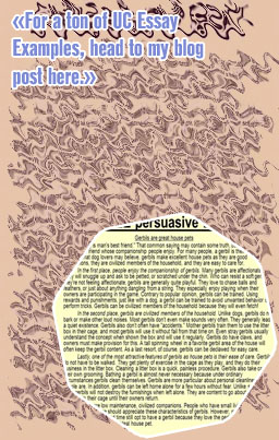 Good essay example