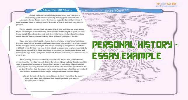 History essay example