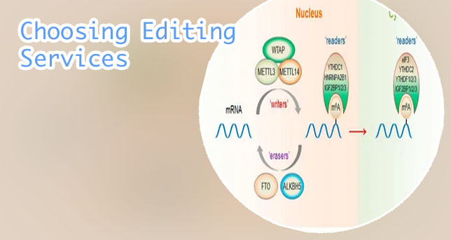 Mdpi english editing