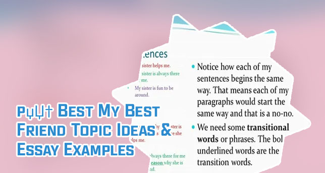 My best friend essay in english