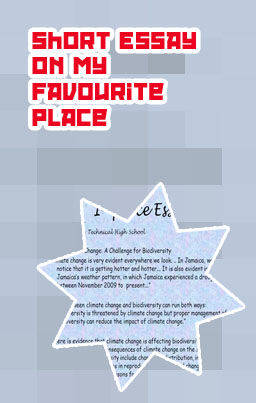 My favorite place short essay