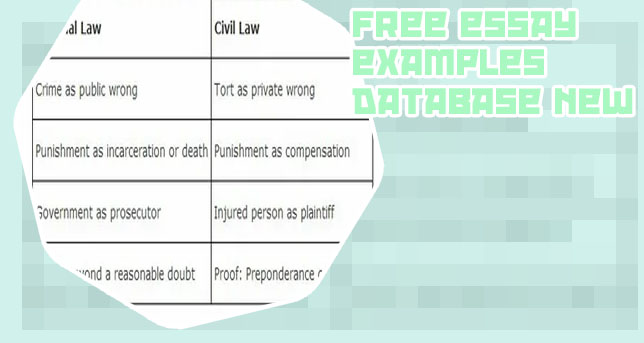 Procedural essay examples