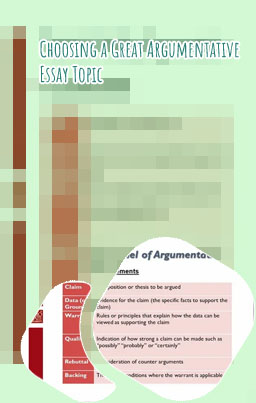 Toulmin essay example